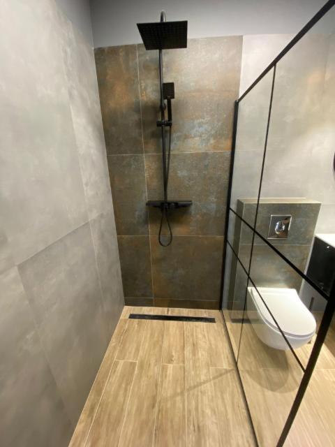 Apartament Pod Swiatynia Wang Карпач Экстерьер фото